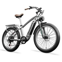 전기 자동차 동력 보조 산악 자전거, 상세 페이지 참고, MX04 실버 MX04 실버 48V 15AH