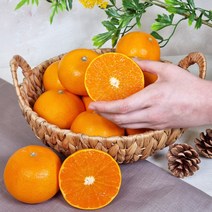 제주 천혜향 가정용 선물세트 3kg 5kg 10kg 산지직송, 천혜향 선물용(명품포장), 3kg 중대과 9~15과