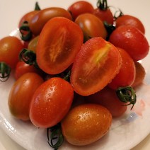 유니네 스테비아 대추방울 토마토, 3.5kg
