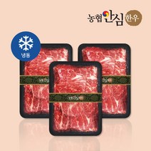 [농협안심한우] 1+등급 한우 불고기 600g, 1개, 1.8KG (600gX3팩)