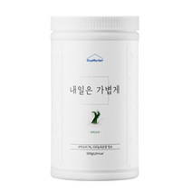 1+1 블루마켓 내일은가볍게 데일리리셋 새싹보리 다이어트 식이섬유 식이조절쉐이크 600g, 내일은 가볍게 새싹보리 600g, 내일은봄