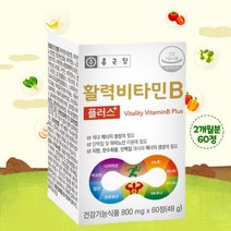 종근당 활력 고함량 비타민B 환절기 면역력 영양제60정 2개월분