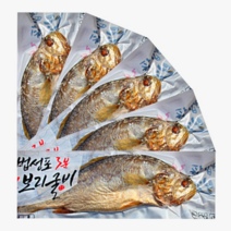 영광 굴비 법성포 보리굴비 전자렌지3분 간편 보리굴비, 10팩, (특대)29~30cm 200g내외