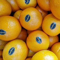 고당도 썬키스트 블랙라벨 오렌지 2kg 5kg 8kg, 2kg 중과 (8~10과)