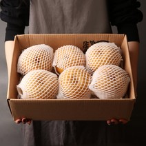 강서시장 과일연가 알뜰 배 3kg