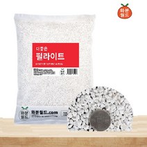 화분월드 더좋은 펄라이트 1호 10L 난석 분갈이흙 경량인공토, 펄라이트 10리트 5개