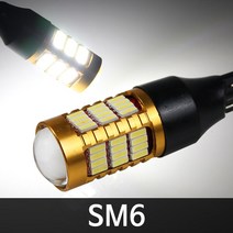 골드에디션 SM6 58LED 후진등 T15 2개 1세트