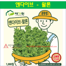 아시아종묘 상추종자씨앗 왈론 (1000립) *교배종 최고급종*