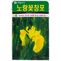 노랑꽃창포 꽃씨앗 20립