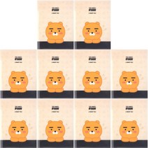 카카오프렌즈 투포켓 파일 10매 라이언