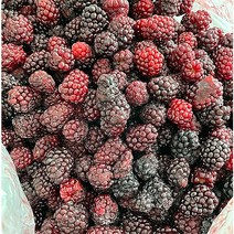 슈퍼복분자 냉동 복분자 1kg 3kg 5kg 수확후 바로 급냉 복분자주 국내산 산지직송 Blackberry, 슈퍼복분자(급냉) 3kg, 1개