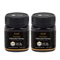 하이웰 프리미엄 마누카 허니 UMF 15+ 250(MGO 512) X2