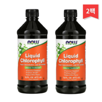 NOW Foods 액상 엽록소 천연 민트 향 473ml(16fl oz), 2개