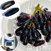 바로보담 블랙사파이어포도 900g 1.8kg 1팩 2팩 미국산 길쭉한 가지포도 제철, 900g × 1팩, 1개