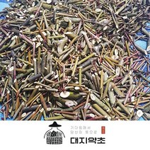 강원도 정선 100% 자연산 벌나무 250g 500g / 잔가지 전문 약초인이 직접 채취한 자연산 벌나무 산청목 가지