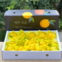 황금향 선물세트, 제주황금향3kg대과6X9과내외