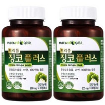 위드헬스 혈액순환 개선 은행잎추출물 영양제 징코 기억력 혈행개선 징코 플러스 빌로바 2병 ( 4개월분 ), 2개, 60정, 60정