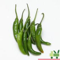사라상회 청양고추 5Kg (상), 1박스