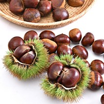 공주 알밤 햇밤 깐밤 포르단밤1kg, 공주알밤(대) 1kg, 1개