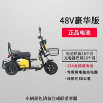 삼륜전기스쿠터 3발 화물용 반려견 오토바이 출퇴근 전기, 고급 버전에는 48V23A 고에너지 골드 슈퍼웨이 배터, 48V