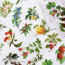 SAIMAN 엠보스티커 40pcs 꽃버섯 열매가 번지르르하다 엠보싱 다쿠펫 스티커 압화꽃 공예 노트북 미국감성 빈티지 레트로 방수 캐리어 칼라 데코스티커 대용량, 유약 과일-40매