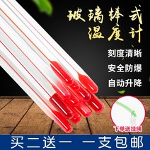 산업용온도계 레드 물 유리 막대형 실험함 공업 사용 측정함 알루미늄마그네슘합금 오일 온수 실버 가정용 1941382700, 레드 수침 투명 타입 -10 -110