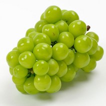 올라이브 산지직송 당도18브릭스 이상 특품 수출용 샤인머스켓 2kg(2~3수) 3kg(3~4수)