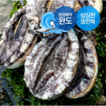 [생일도참전복] 바다내음듬뿍 싱싱 ( 완도 활전복 9-10미1kg 1.5kg 2kg ) 산소포장 당일발송, 1box, 2kg 선물포장