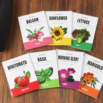 1종 씨앗봉투/화분키우기 씨앗심기, 방울토마토