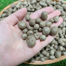 안동 햇 마씨앗 마씨 영여자 산마씨앗2kg 5kg, 3kg