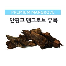 [모비딕] 맹그로브유목(중) [20-30cm]