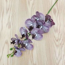 돈다발 행운 개업 플라워 꽃 난 호접란 조화 knsC1025, 105cm, 호접란9