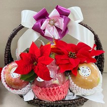 고품격 과일 바구니-정성모아 과일바구니/병문안/출산/생신/생일/진급 축하선물/크리스마스 선물, 크리스마스 바구니