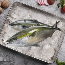 남해안 마라도 손질 순살 제철 대방어 200g 10팩 2KG이상 (1팩 200g), 10개