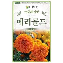 아프리칸 메리골드씨앗 100립 KX, 없음, 1개