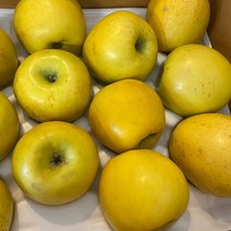 [시나노골드] 경북직송 황금사과 설날 선물 가정용 정품 쥬스용 5kg 3kg 2kg, 시나노골드 가정용, 중과 (16-18과) 5kg