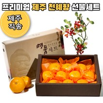 제주 천혜향 선물세트 22년 설 선물 제주도 프리미엄 천혜향 2kg 3kg 5kg, 2kg 중과(07-09과 내외)