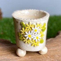 다육맘 까사공방분 A060, 옐로우