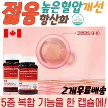 혈압낮추는음식 혈압낮추는방법 높은혈압감소 심뇌 혈관 청소 질환 증상 혈관에 혈압에 좋은 혈액순환 피를맑게하는음식 항산화 활력 활성산소제거 혈관에좋은영양제 혈압에좋은영양제 COQ10 혈압