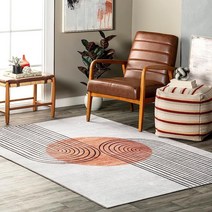 NuLOOM Martine Abstract Sun 세탁기 세탁 가능한 액센트 러그 3x5 더스티 화이트