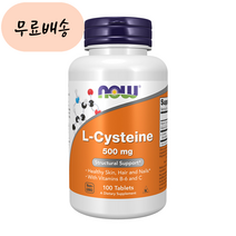 나우푸드 엘 시스테인 500m.g 100 나우 L, 1개, 100정
