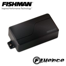 피쉬맨 일렉기타 픽업 Fluence 험버커 알니코, 블랙니켈