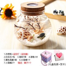 수제 미니 수족관 여자 친구 생일 소녀 감성 의미있는 선물, 백색 비취 거북 선물 상자 포장-원격 제어