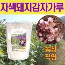 아루이팜 돼지감자가루 자색 돼지감자 가루 분말 200g 차, 2봉