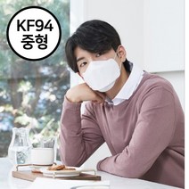 KF94 늘푸른마스크 50매 100매 무형광마스크 황사마스크 중형 대형 블랙 KF-94 써멀본드마스크 써멀본드KF94 써멀본드KF-94 써멀본드마스크, 화이트