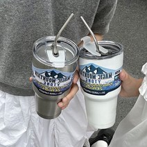 얼음이녹지않는텀블러 대용량 900ml, 실버 2개(빨대 브러쉬 포함)