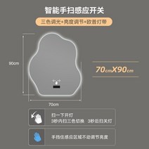 전신 거울 욕실 불규칙한 미적인 메이크업 백라이트 가정 개선, 12.70x90cm