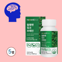 혈행 브레인 징코 은행잎추출물 혈액순환제 은행잎 추출물 플라보놀 기억력 기억력영양제 혈액순환개선제 장코플러스 바나바잎추출물 포스파티딜세린 뇌영양제 수험생영양제 뇌영양제추천, 5병