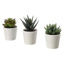 이케아 FEJKA 페이카 인조식물 화분 실내외겸용 다육식물 6cm 3개 205.197.65