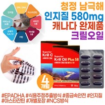 몸에좋은 크릴오일 1000mg 비타민E 아스타잔틴 epa dha FISHOIL 56 krilloil 레드크릴오일 phospholipid 오일크릴 크릴56 크릴오일58 새우오일 캡슐크릴오일 인지질 청정해 남극